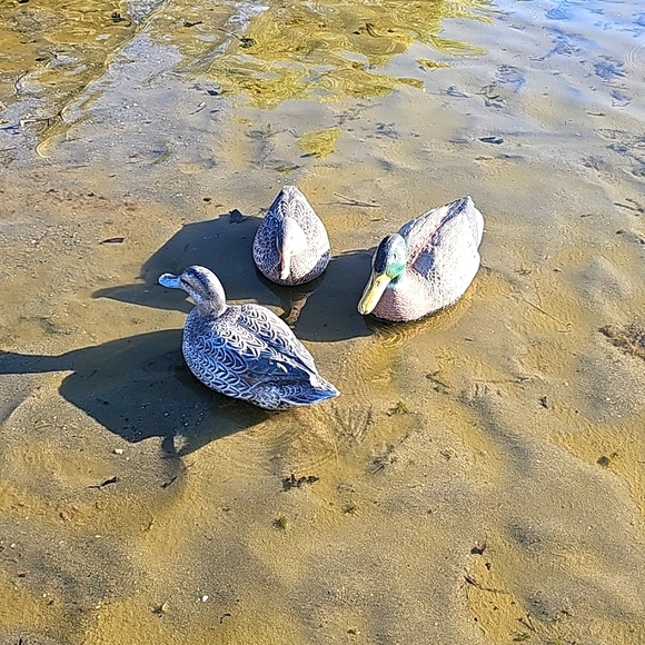 Duck decoys, game winners - Picture 3 of 10
